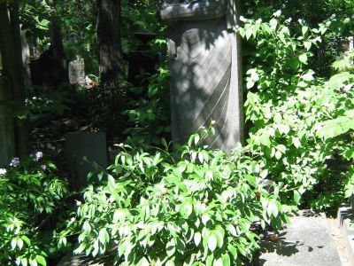 Могила Меркурова Сергея Дмитриевича (1881-1952)