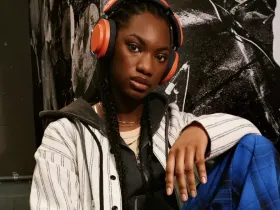 Наушники Dyson On Track (Ceramic Cinnabar)