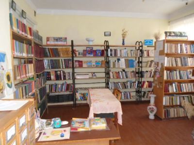 Колодезнянская сельская библиотека-филиал № 27