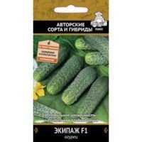 Огурец Экипаж F1