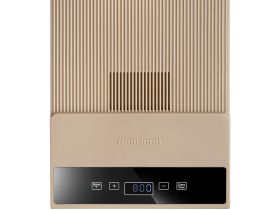 Электросушилка REDMOND FD1105 (бежевый)