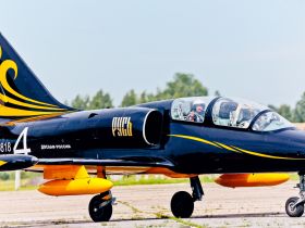 Полет на истребителе L-39