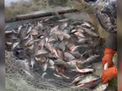 Во время мунхи на озере Ниджили в Кобяйском районе выловили огромное количество окуней и щук