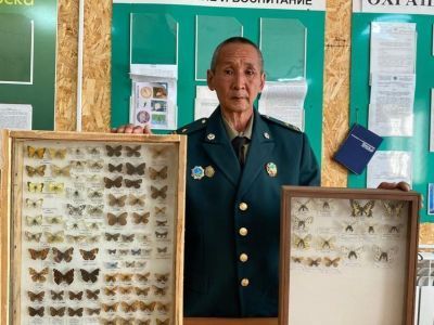 Редкие виды бабочек обнаружили в Якутии