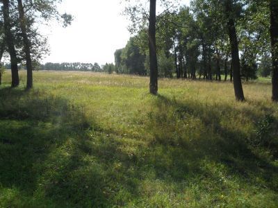 Памятное место, где в 1605 году состоялось сражение русских войск с Лжедимитрием I
