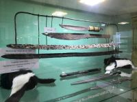 Музейный комплекс «Мандар Уус»