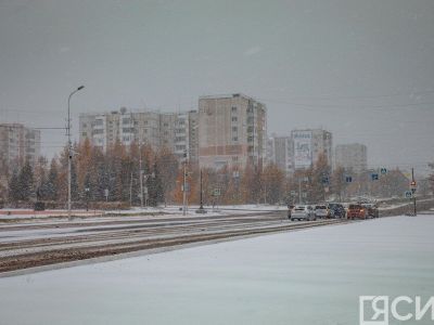 Следком начал проверку по факту конфликта между женщиной и подростками в Нерюнгри