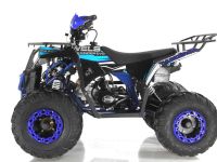 Квадроцикл WELS Thunder EVO