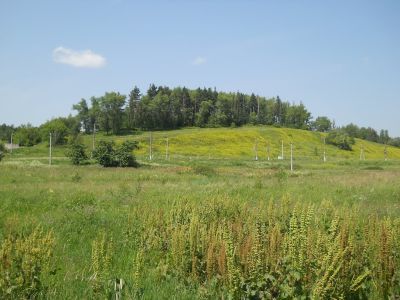 Памятное место, где в августе 1812 г. русские войска вели бои с войсками Наполеона