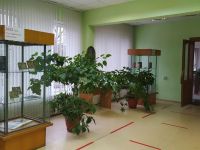 Центральная библиотека города Пскова