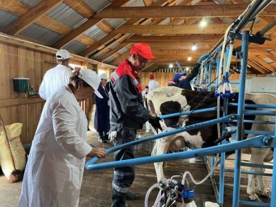 В Якутии определят лучшего дояра