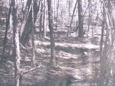 Землянка, где жил и скрывался Василий Манчары, сер. XIX в.