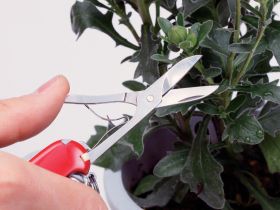 Нож перочинный Victorinox Deluxe Tinker, сталь X55CrMo14, рукоять Cellidor®, красный