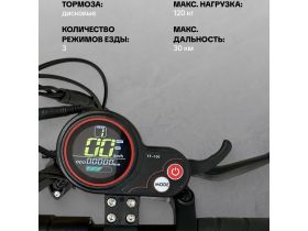 Самокат  Exegol ESEXS Pro 10, цвет Черный