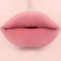 Жидкая матовая помада для губ Dinto Madame Butterfly Blurring Lip Veil 103 Fermata