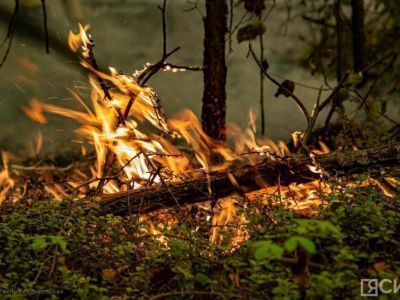 Граждан предлагают штрафовать на 30 тысяч рублей за нарушение пожарной безопасности в лесу
