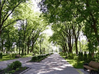 Центр народного творчества «Комсомольский»