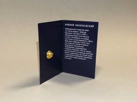 Значок эмалированный "Маяк Нижний Николаевский"
