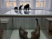 Здание музея «Земская больница»