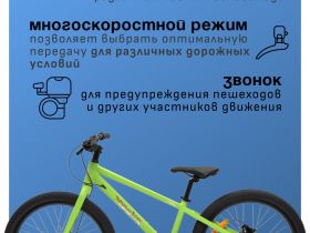 Подростковый велосипед Pifagor Q.E.D. 24, год 2025, цвет Зеленый