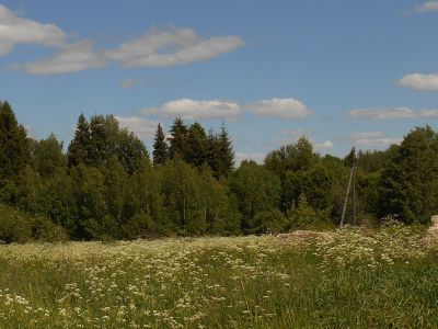 Усадьба "Новинки" Пушкиных