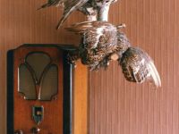 Музей С. М. Кирова