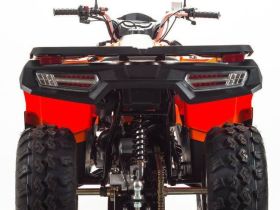 Квадроцикл MOTOLAND 200 Max