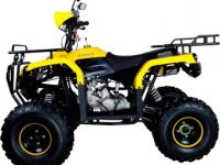 Квадроцикл AVANTIS Patriot M