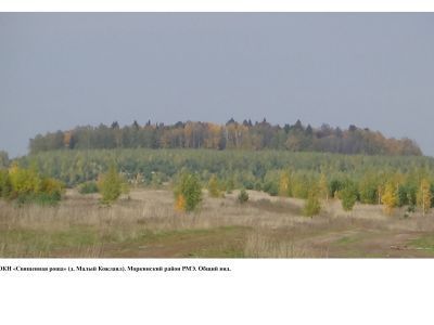 Священная роща