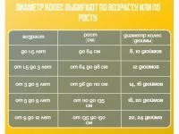 Детский велосипед Falcon Bike Mild 14, год 2024, цвет Черный