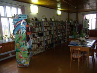 Созимская сельская библиотека