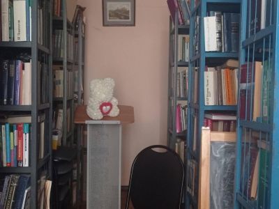 Борисовская сельская библиотека