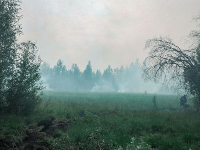 Уровень пожароопасности может быть снижен в Якутске и семи районах республики