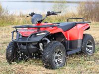 Квадроцикл IRBIS ATV 250