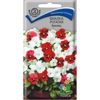 Фиалка рогатая Куколка