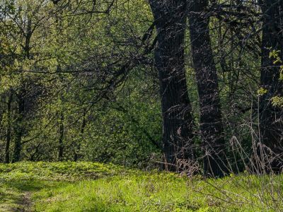 Служебный корпус