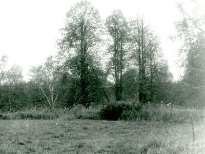 Усадьба «Хотилово». Парк