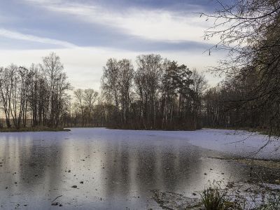 Усадьба Прове-Калиша: - парк