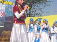 Добровский сельский дом культуры