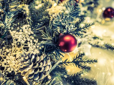 Билеты на Пушистый новый год (ДК железнодорожников) / Театр | Афиша | ИнфоТаймс