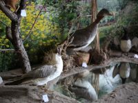 Кулундинский районный музей