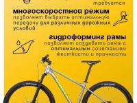 Горный велосипед Atom Bion Nine 150, год 2024, цвет Серый-Зеленый, ростовка 18.5