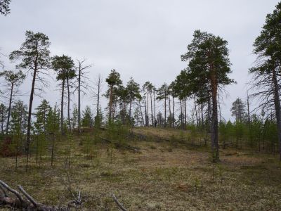Святилище Нум-Ури-Кот-Мых