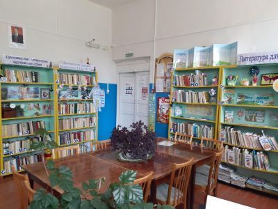 Дубская сельская библиотека