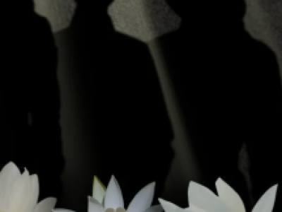 А зори здесь тихие...