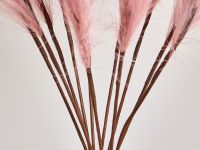 Декоративное украшение Cortaderia, розовое