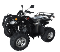 Квадроцикл RATO Hammer 200 Lux