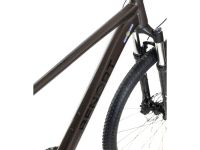 Горный велосипед Benort Vector 29, год 2026, цвет Серый, ростовка 19