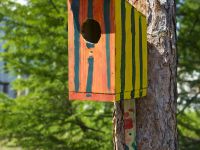 Дом культуры п. Синегорье