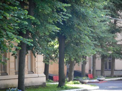 Палисадник